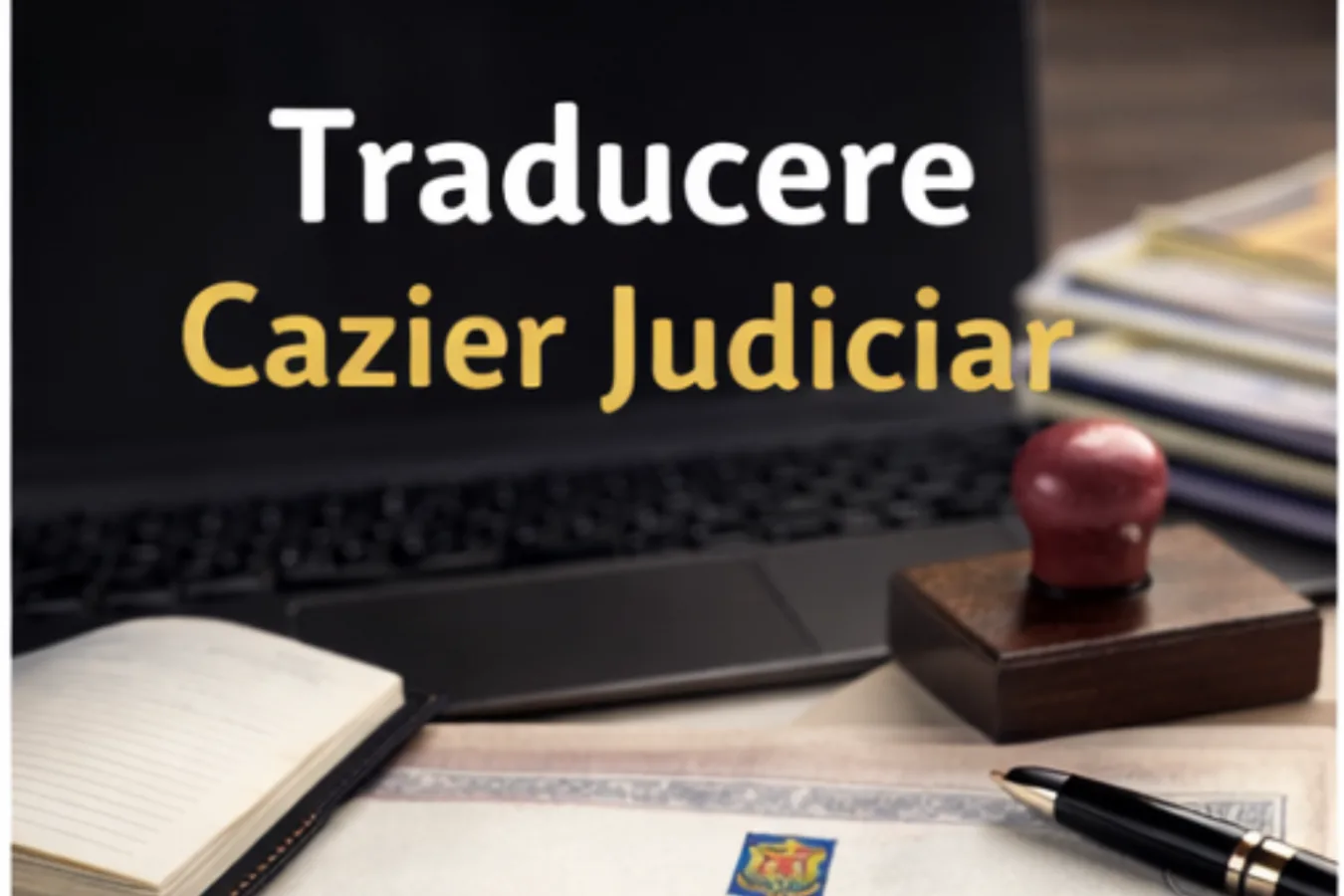 Traducere cazier judiciar
